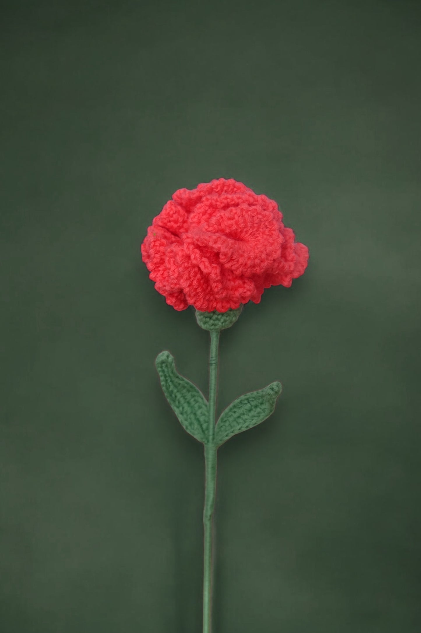 Carnation Handcrafted Crochet Flower