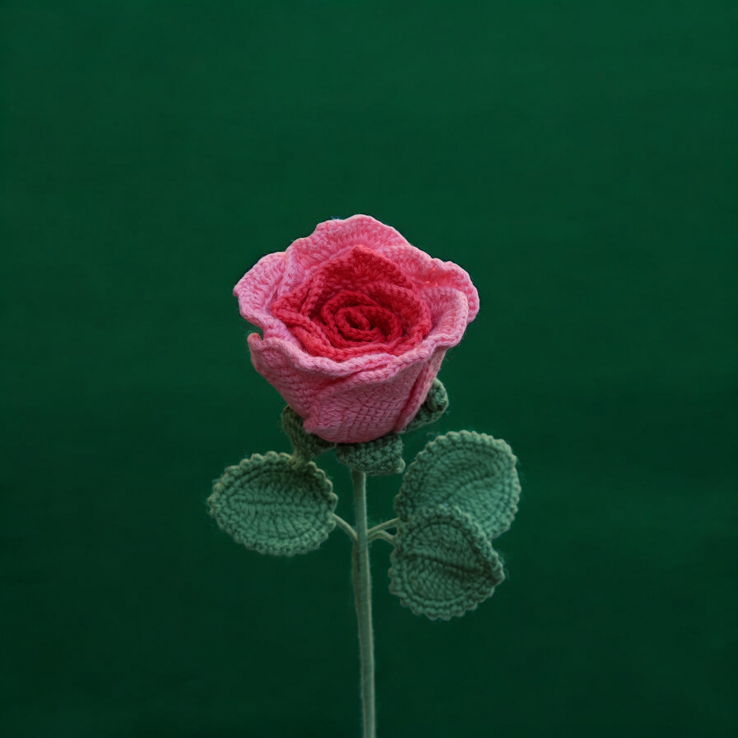 Rose - handmade crochet flower