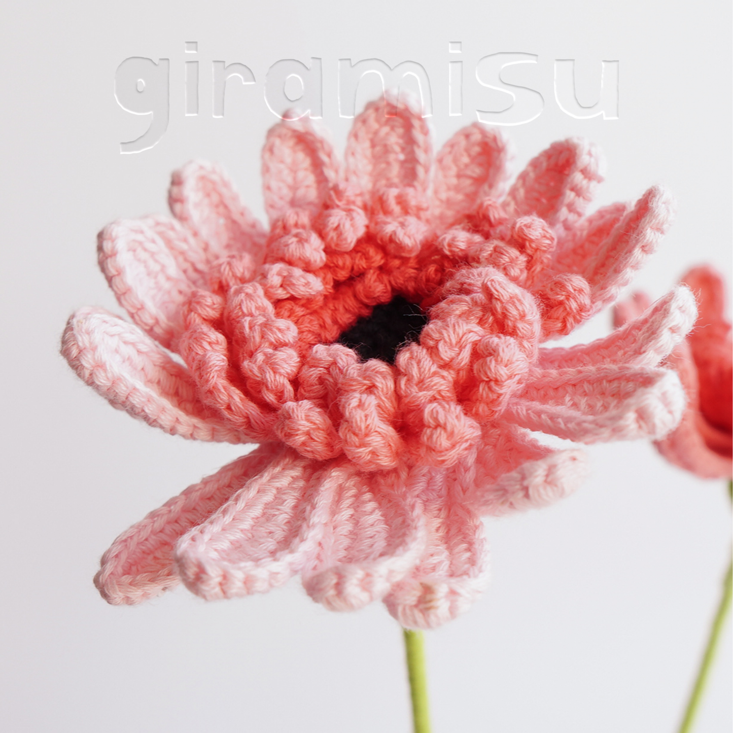 Daisy - handmade crochet flower